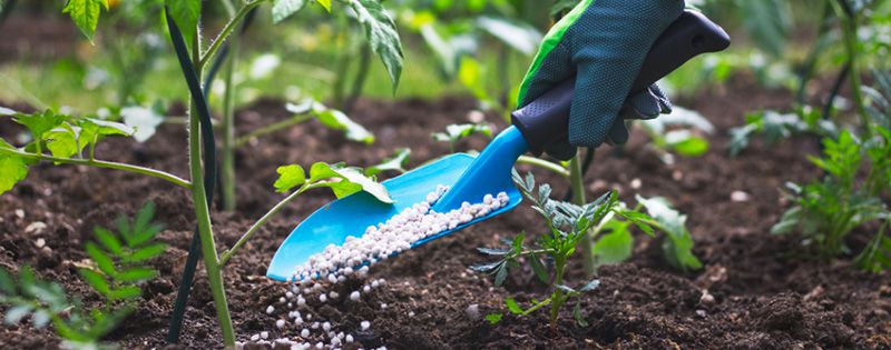 Fertilizers Bentonite